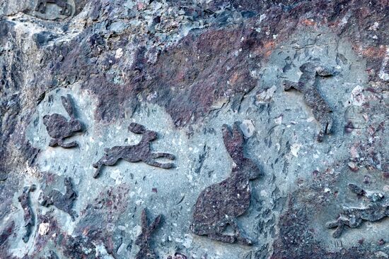 Регионы России. Карелия