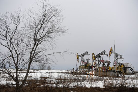 Работа нефтяных станков - качалок
