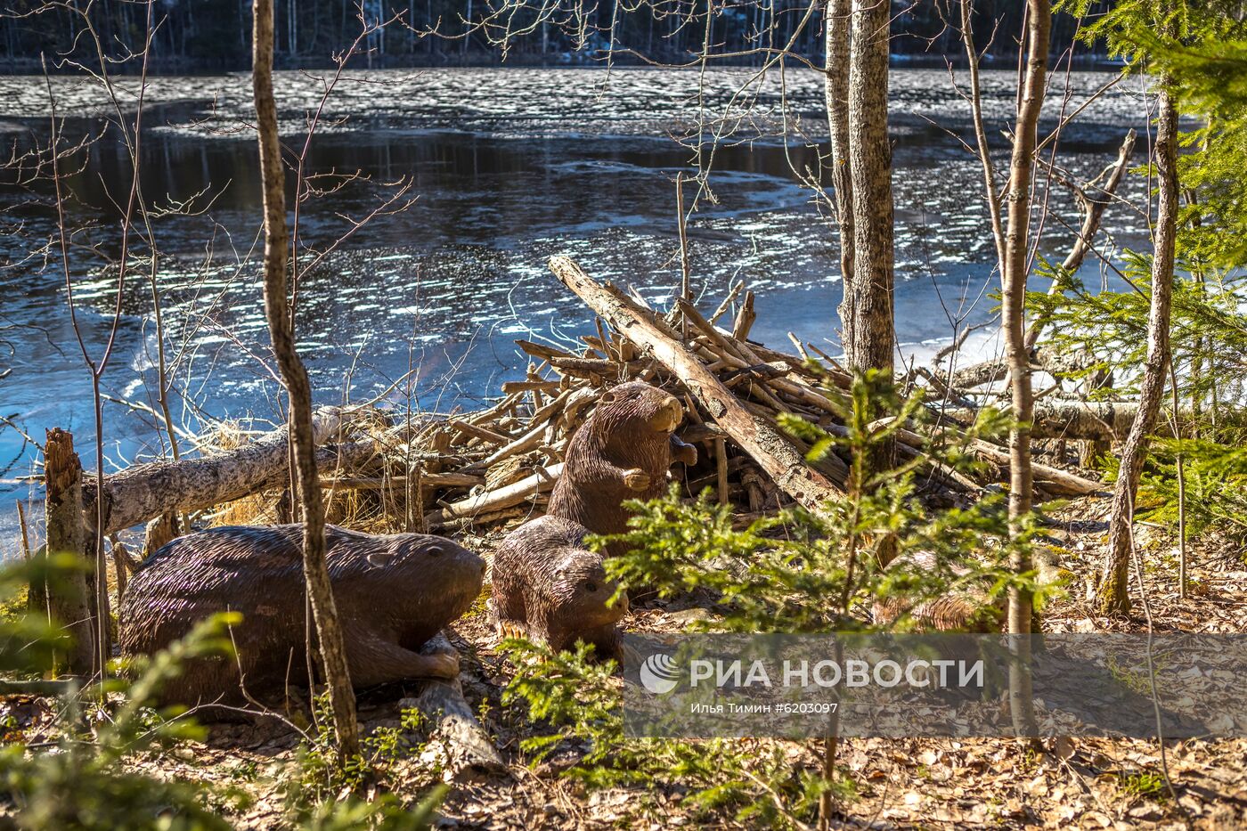 Регионы России. Карелия