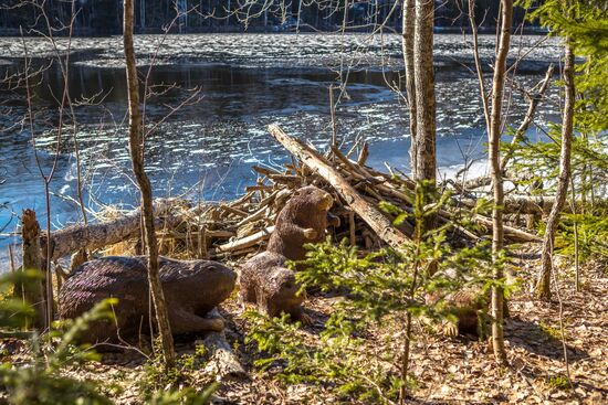 Регионы России. Карелия