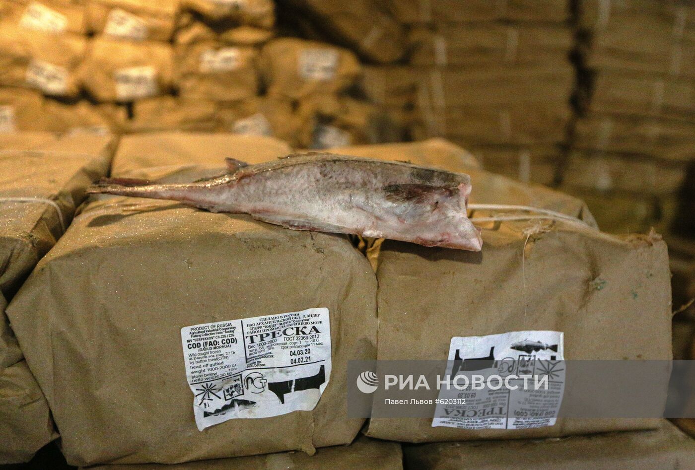 Выгрузка рыбы в Мурманском морском торговом порту