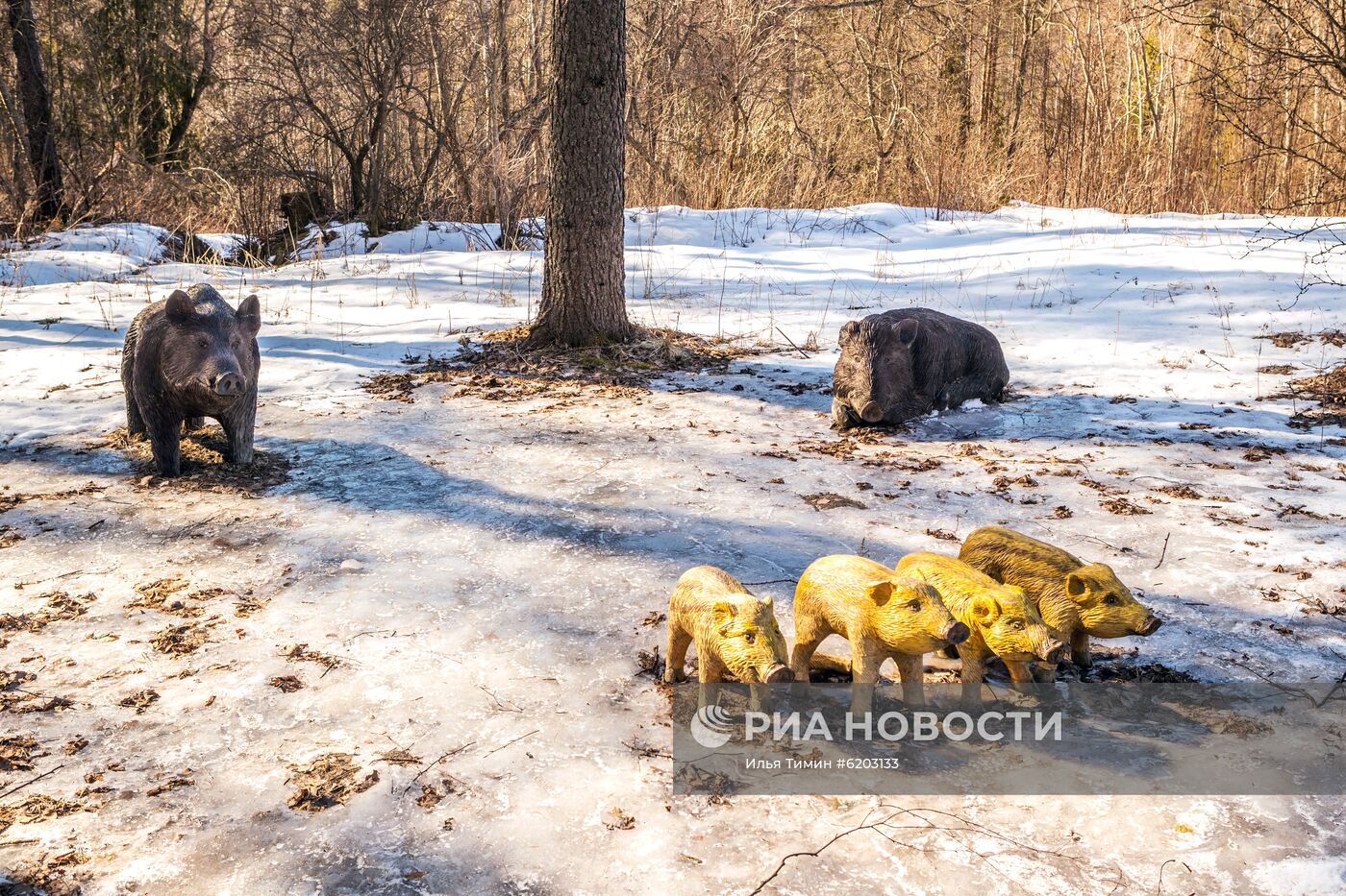 Регионы России. Карелия