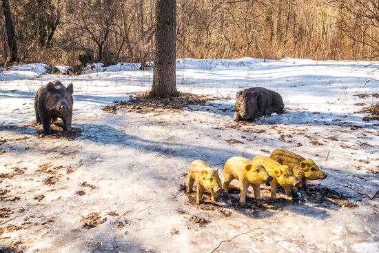 Регионы России. Карелия