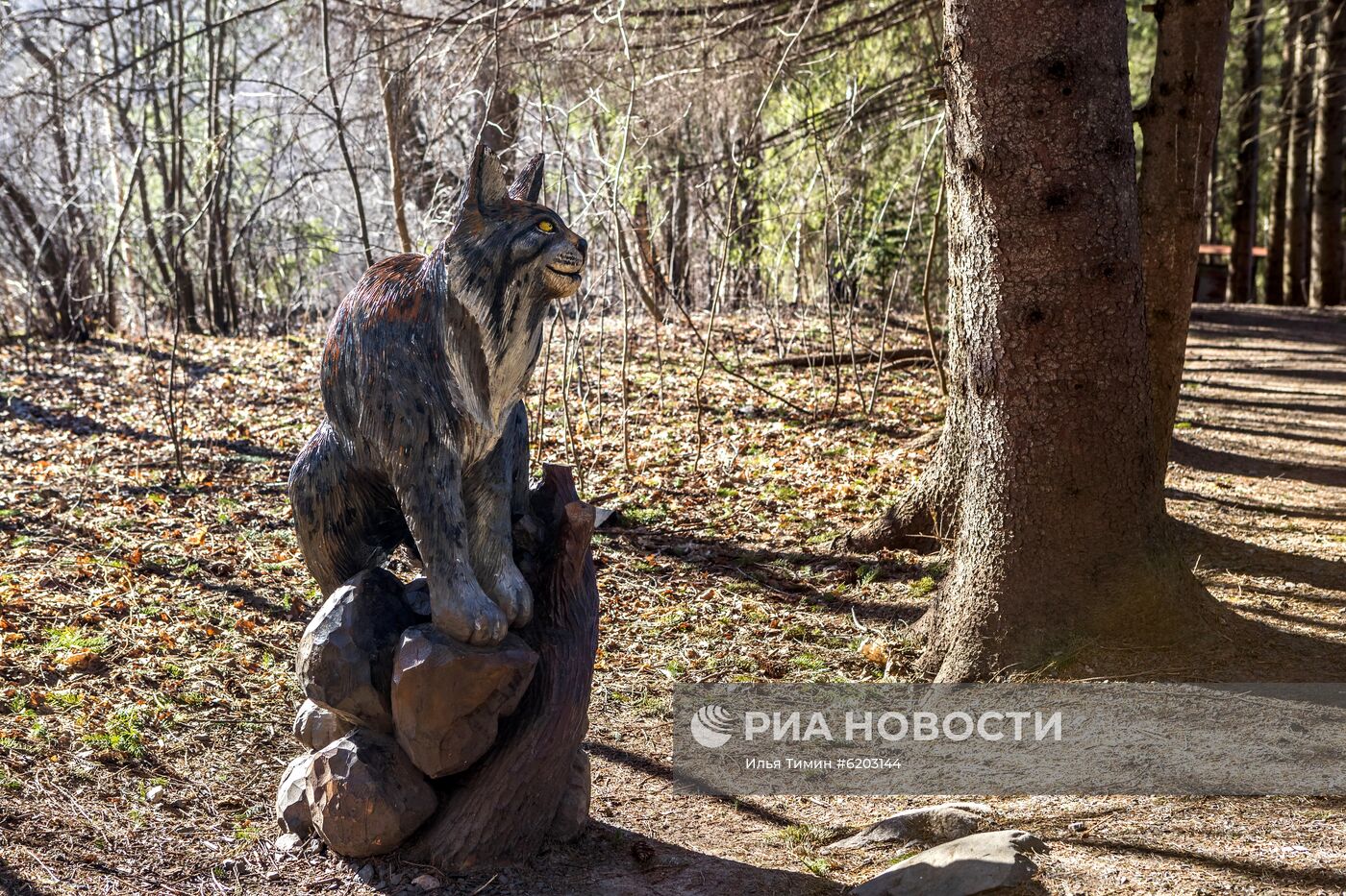 Регионы России. Карелия