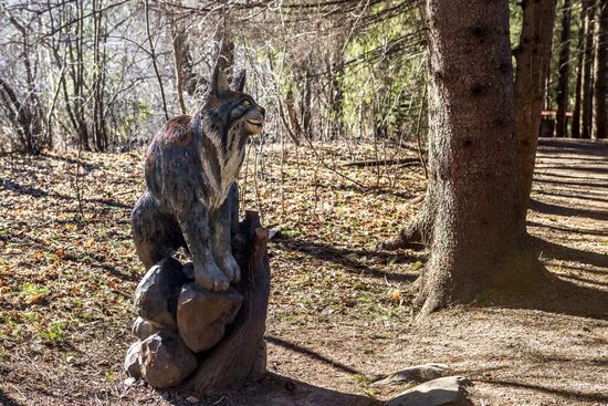 Регионы России. Карелия