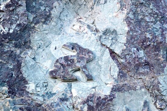 Регионы России. Карелия