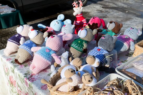 Регионы России. Карелия