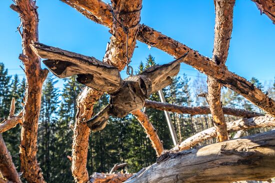 Регионы России. Карелия