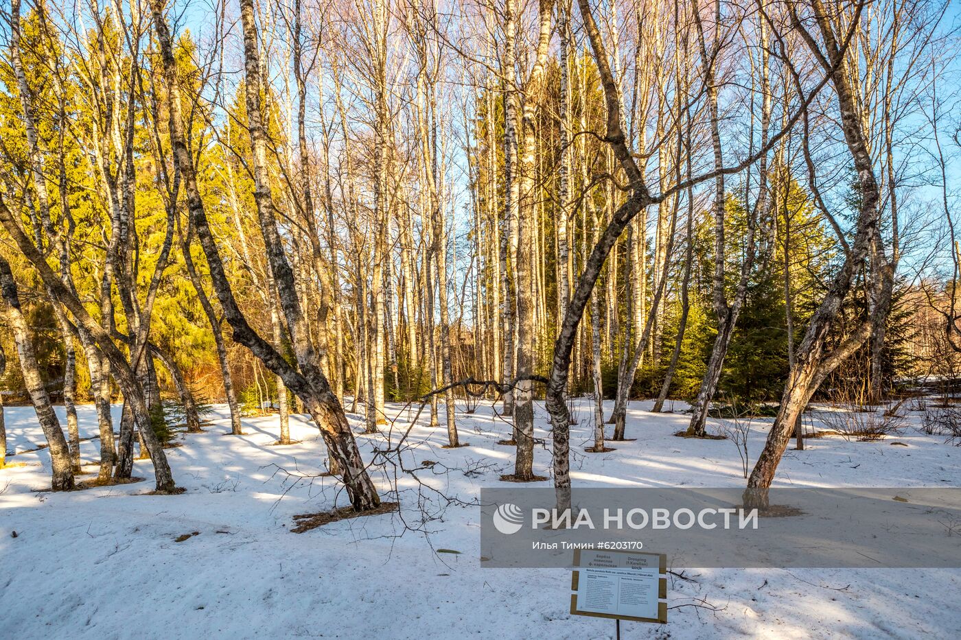 Регионы России. Карелия