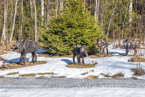Регионы России. Карелия