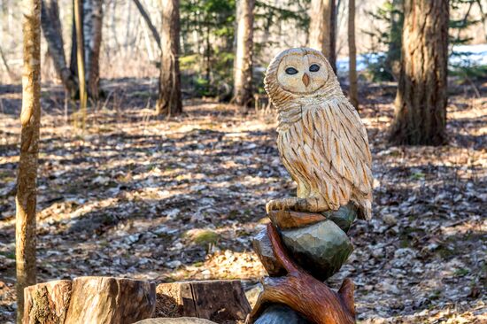 Регионы России. Карелия