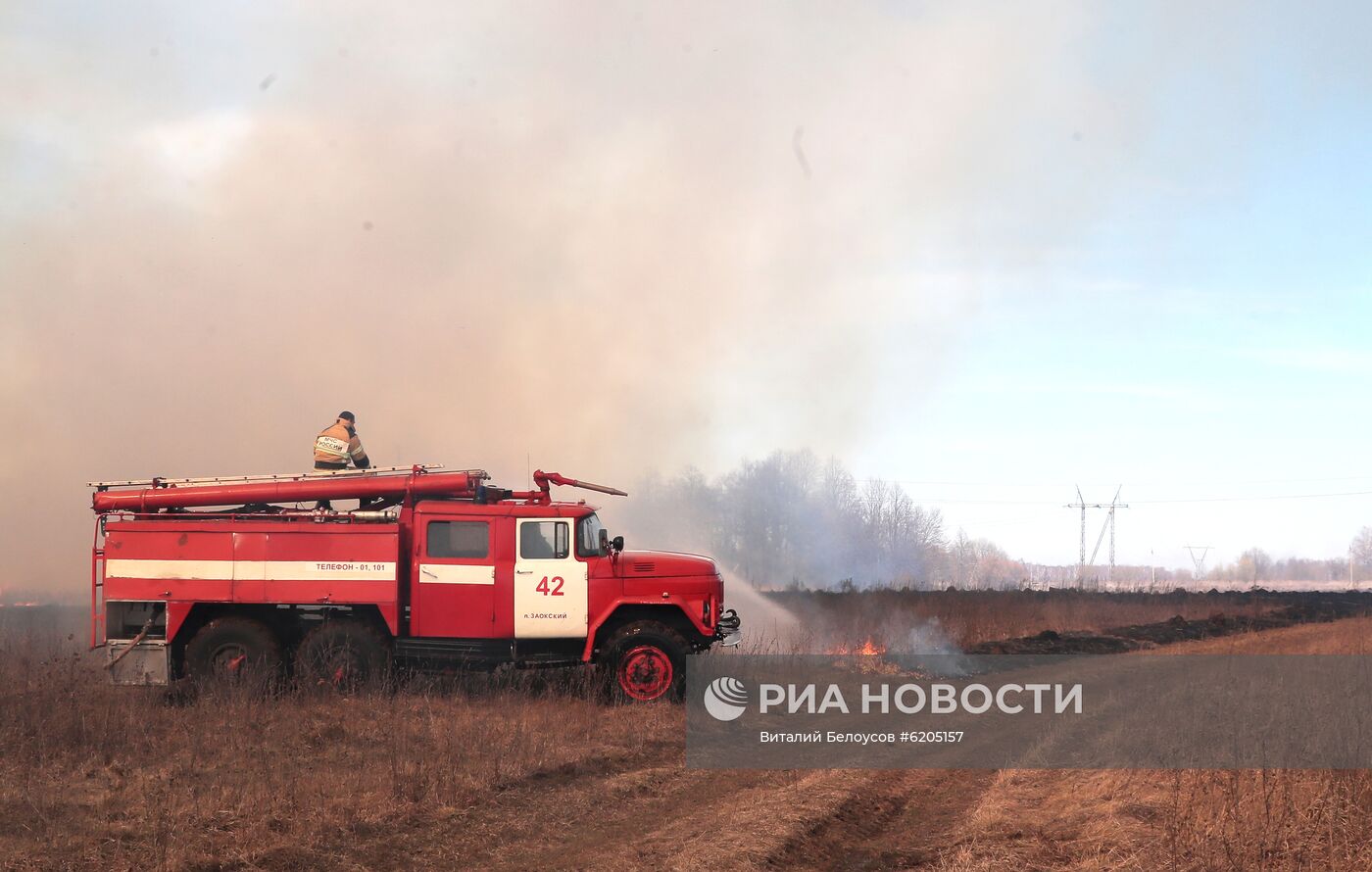 Сухая трава горит в Тульской области