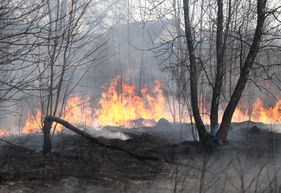 Сухая трава горит в Тульской области