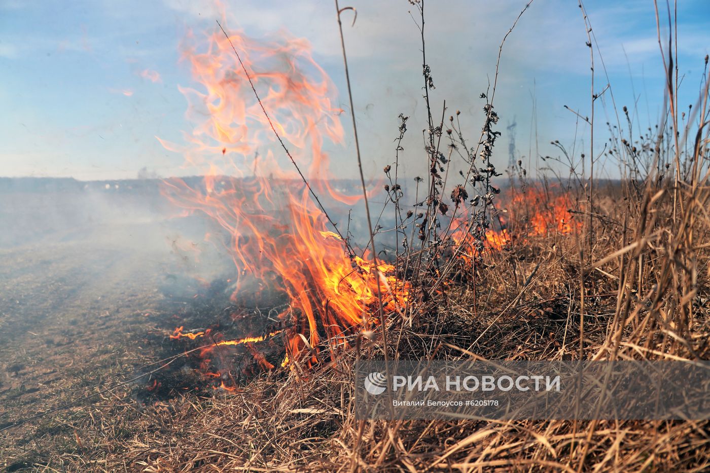 Сухая трава горит в Тульской области