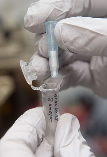 Химики МГУ производят компоненты для тестов на коронавирус