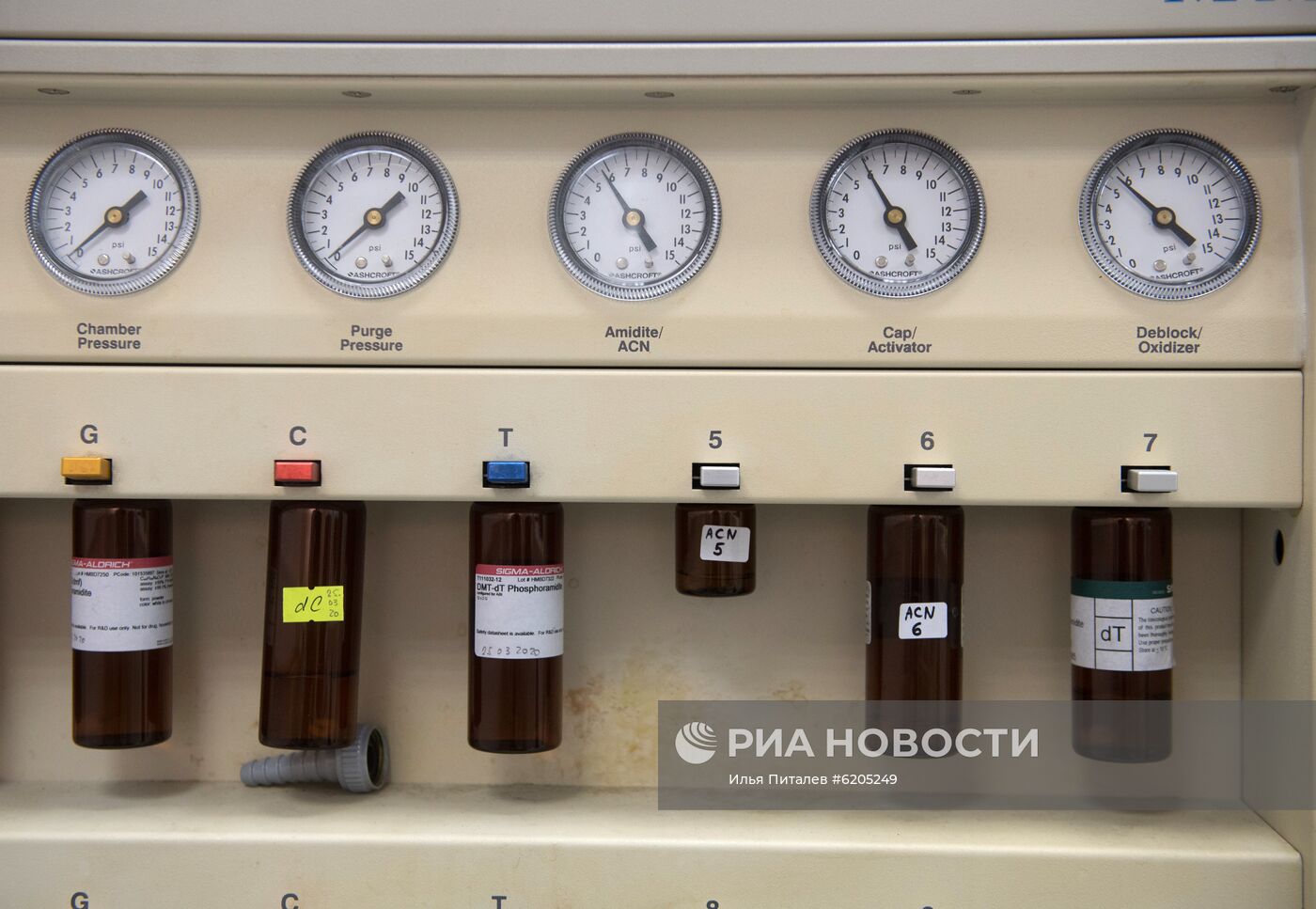 Химики МГУ производят компоненты для тестов на коронавирус