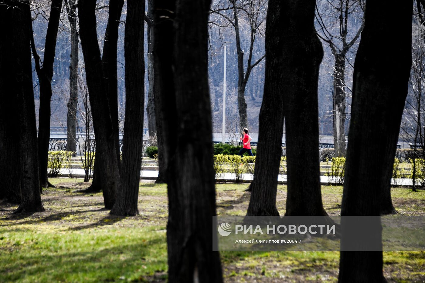 Занятия спортом в Москве