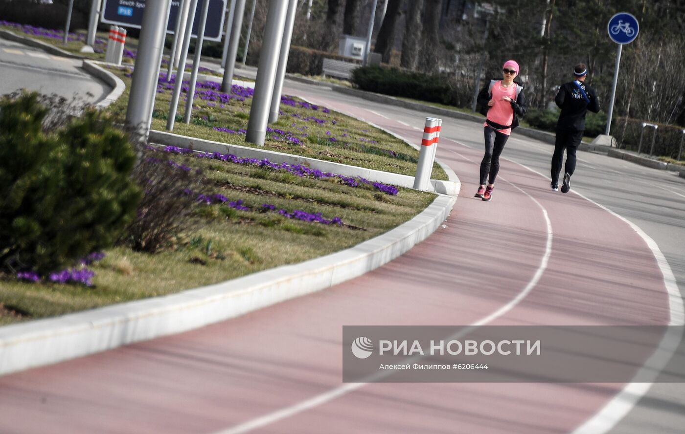 Занятия спортом в Москве