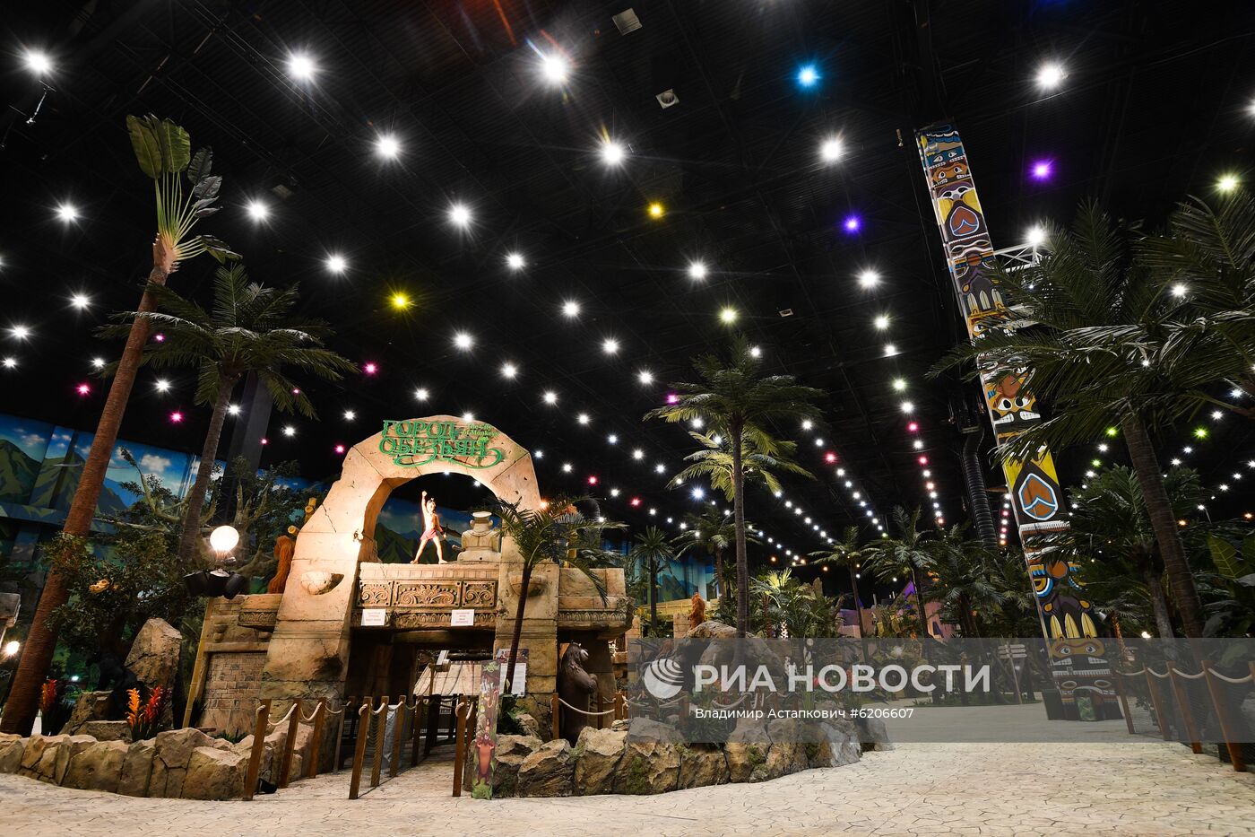 Тематический парк "Остров мечты" закрыт в связи с профилактикой коронавируса