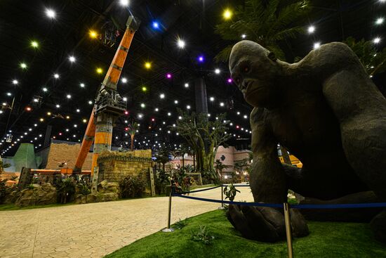 Тематический парк "Остров мечты" закрыт в связи с профилактикой коронавируса