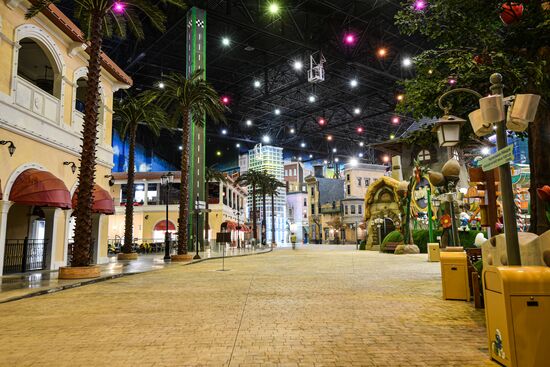 Тематический парк "Остров мечты" закрыт в связи с профилактикой коронавируса