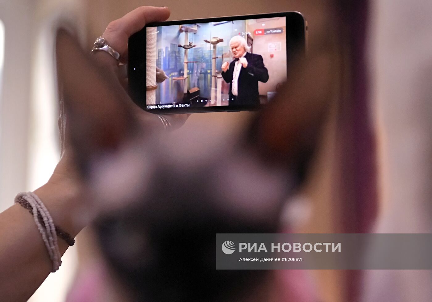 Онлайн-конференция "Котики против коронавируса"