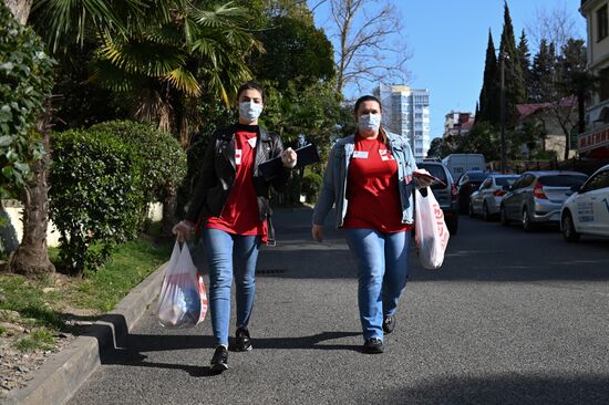 Работа волонтерского центра в Сочи