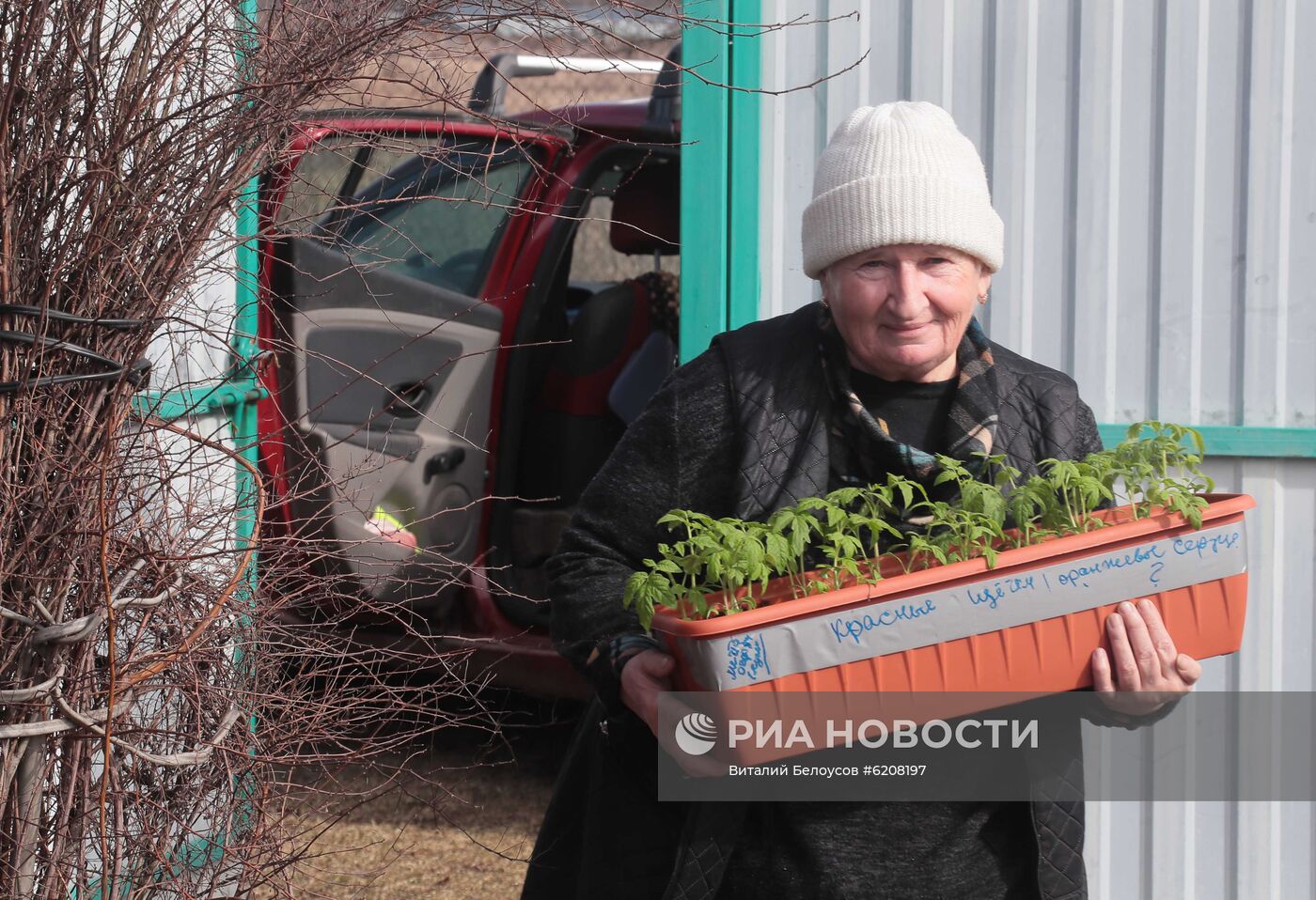 Городские жители на своих дачных участках