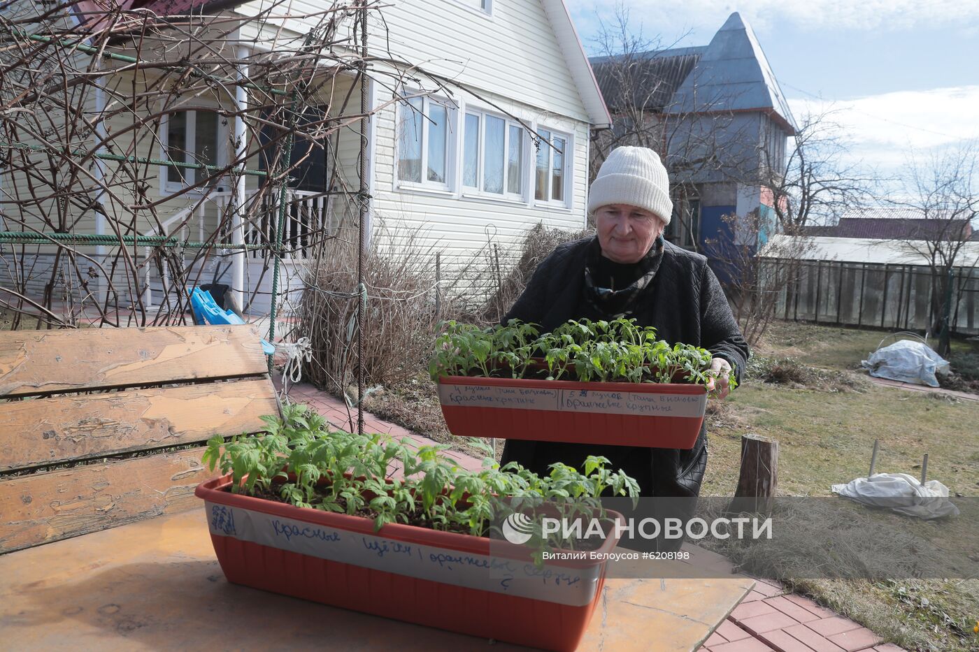 Городские жители на своих дачных участках