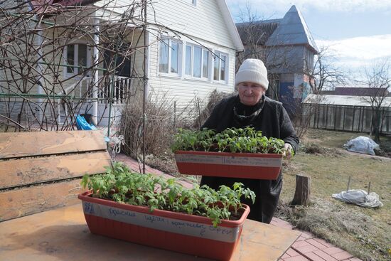Городские жители на своих дачных участках