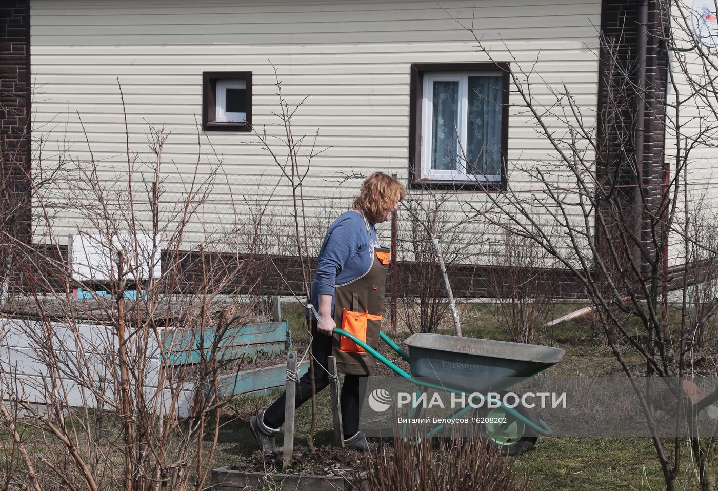 Городские жители на своих дачных участках