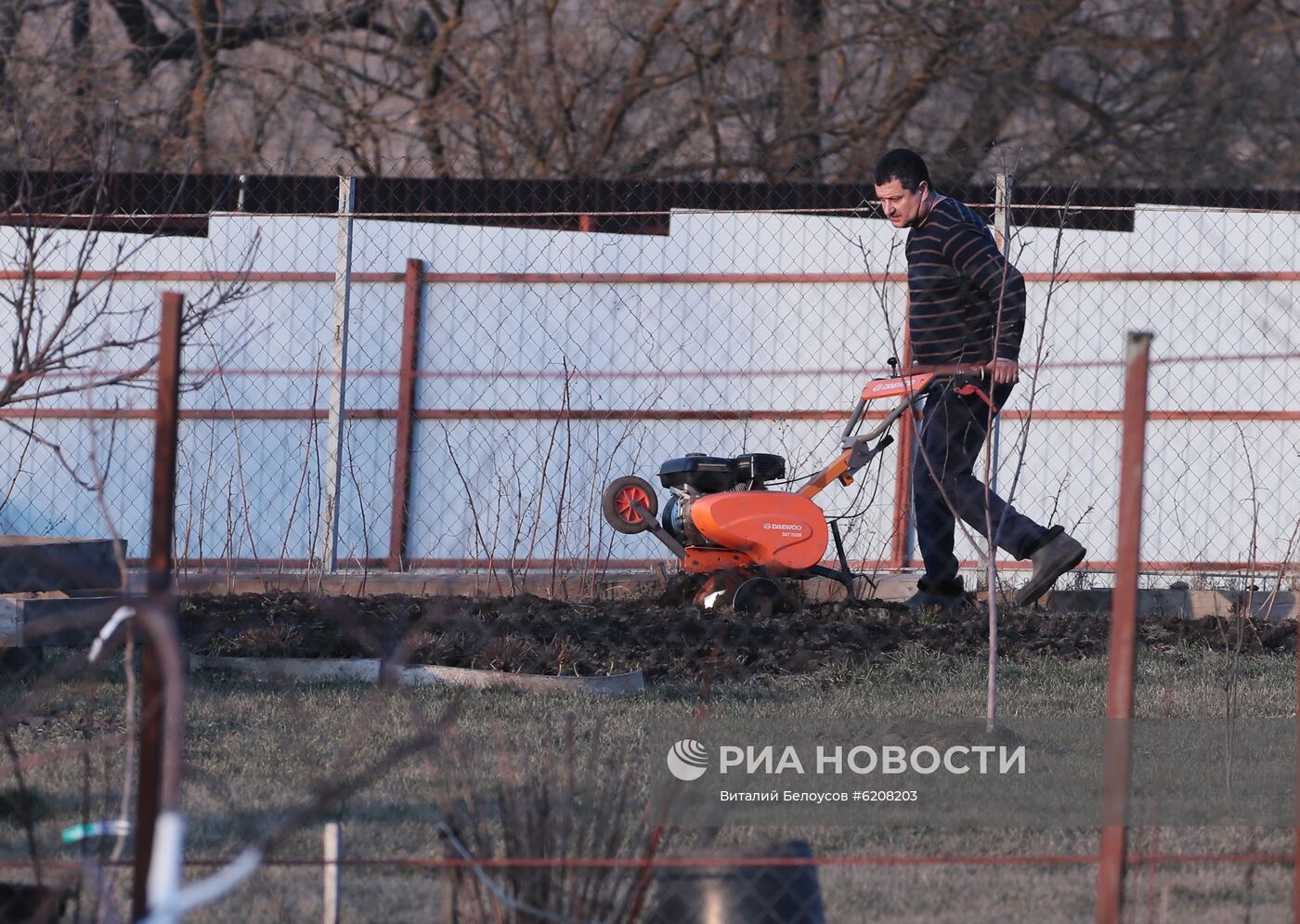 Городские жители на своих дачных участках