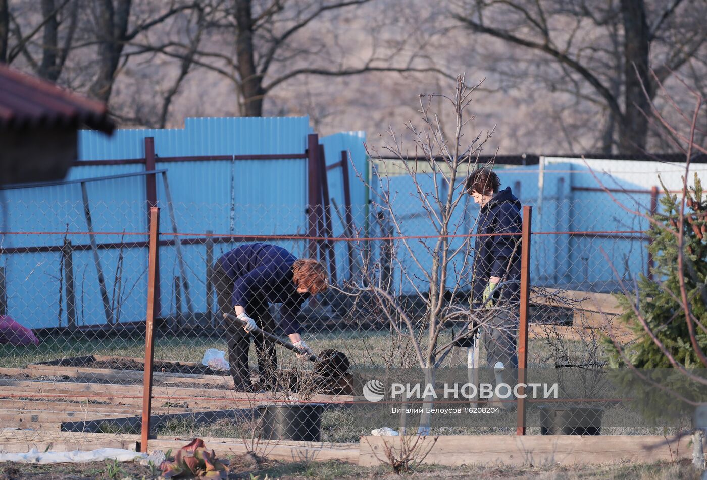 Городские жители на своих дачных участках