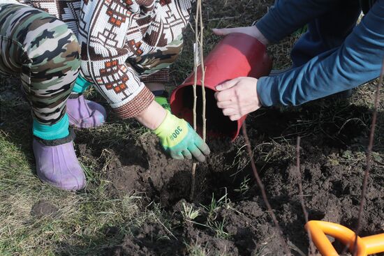 Городские жители на своих дачных участках