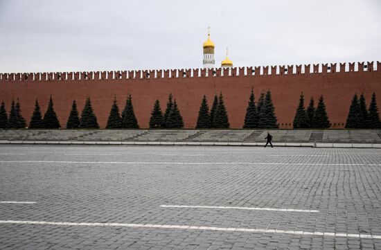 В Москве введен режим самоизоляции для всех жителей