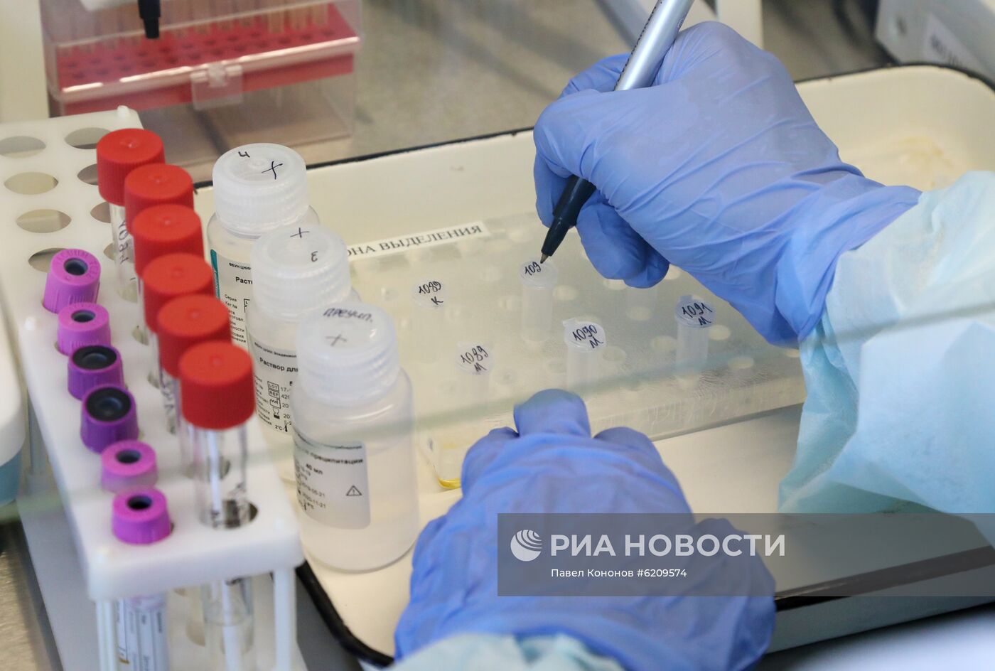 Лаборатория для тестирования на коронавирус в Архангельской области
