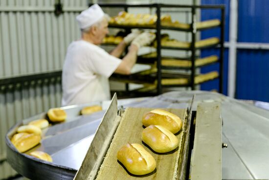 Производство хлебобулочных изделий в Иванове