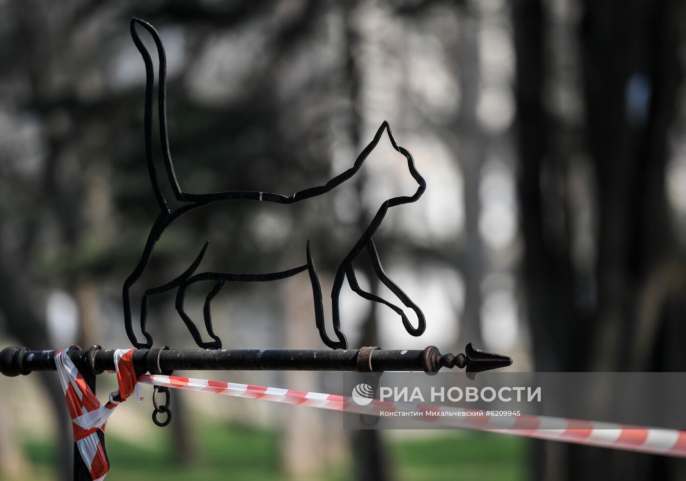 Ситуация в городах России в связи с коронавирусом