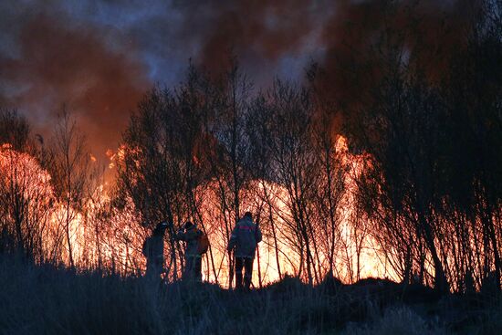 Возгорание камыша в Анапе