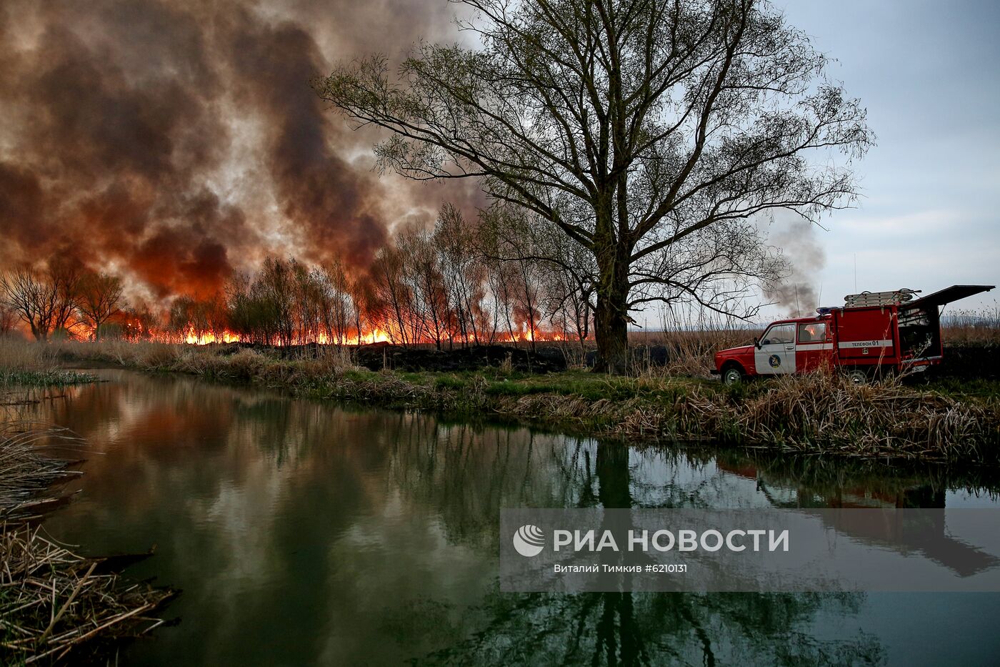 Возгорание камыша в Анапе