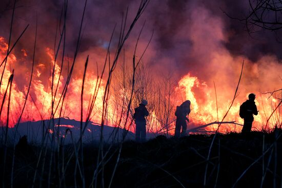 Возгорание камыша в Анапе