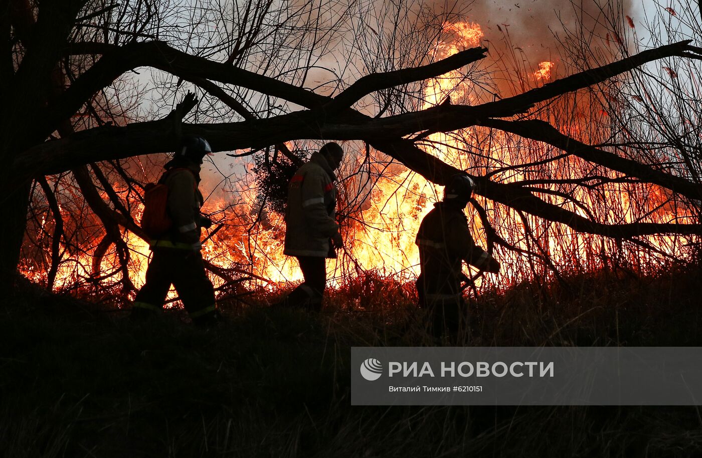 Возгорание камыша в Анапе