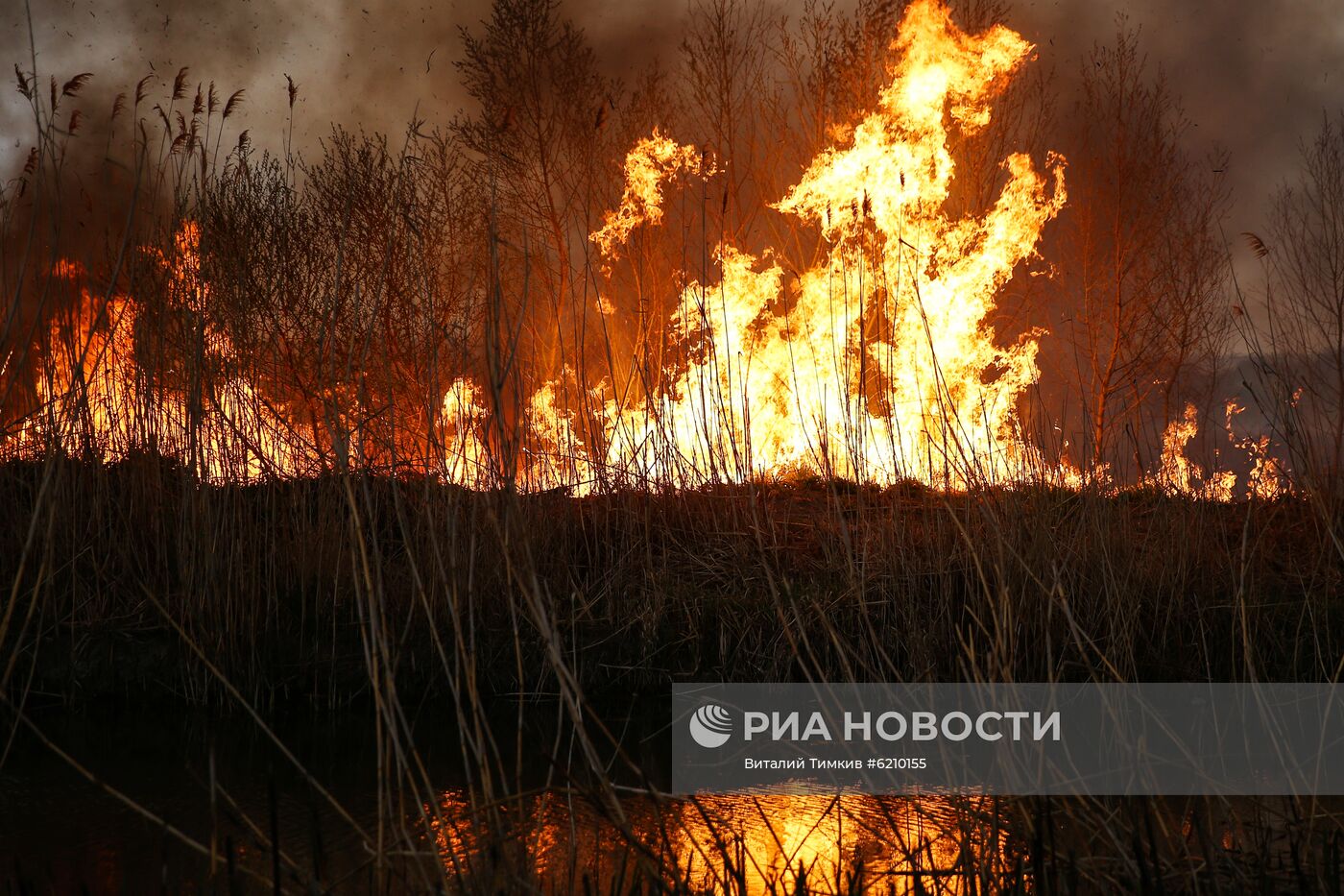 Возгорание камыша в Анапе