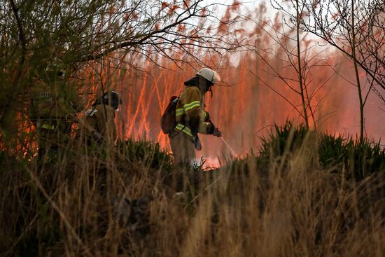 Возгорание камыша в Анапе