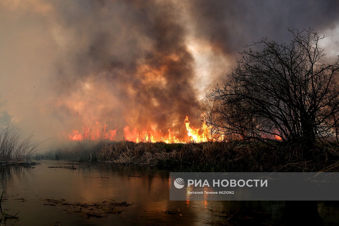 Возгорание камыша в Анапе