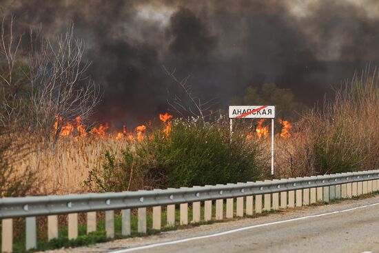 Возгорание камыша в Анапе
