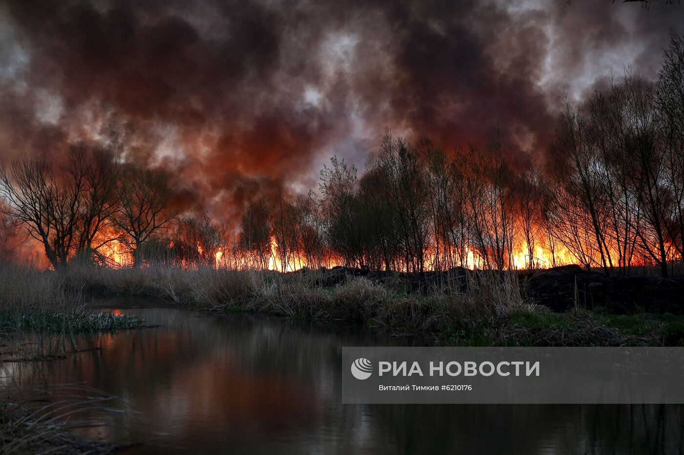 Возгорание камыша в Анапе