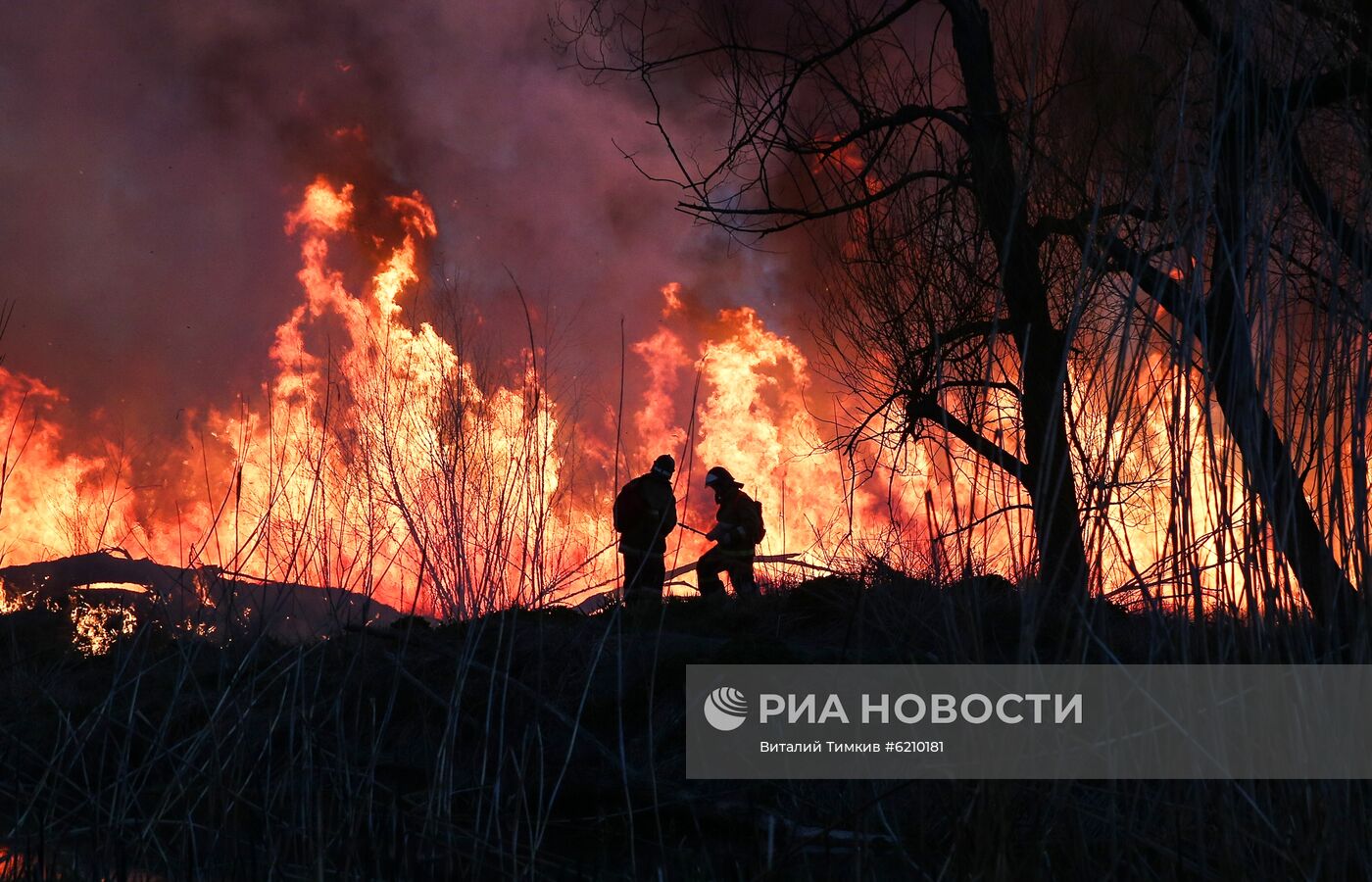 Возгорание камыша в Анапе