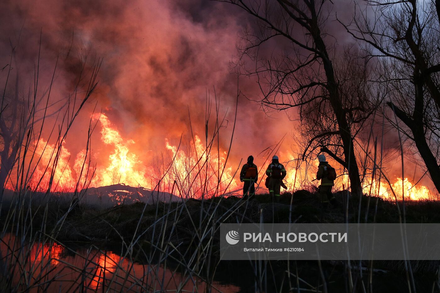 Возгорание камыша в Анапе