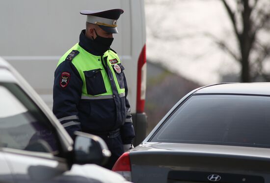 Работа отрядов по контролю за карантином в Краснодаре